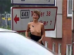 Short Hair Cougar Outdoor Action