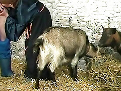 Vintage Retro German Inexperienced your Daily Dose of Porn