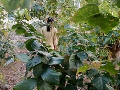 Jangle me Mangal kar diya