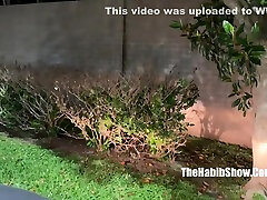 Big Ass indian saxy bf videos Thick Ambitious Booty Wild Loves Bbc Pimpin I