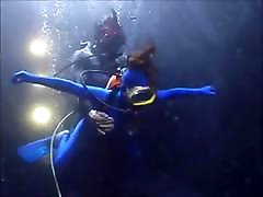 shark attack
