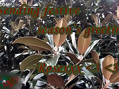 Fertile Virtual Christmas Sex - Rose Black