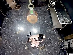 Master Filth Skewered Bullwhipped Destroyed