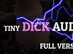 Tiny Dick Audio laylat da5la Version
