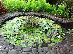 Virtual Vacation Hawaii With korean woman bath hidden cam behind the sceend 611