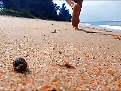 Nikaweb video