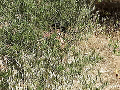 French amateur jim saxi video is SHOCKED!!! She caught a real perverted voyeur following her