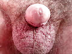 Naked at Home. Looking Outside, Getting Very Horny. What&039;s Left for This Daddy to Do?