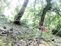 Paranormal activity in Hoia Baciu Forest
