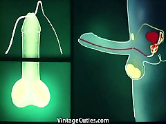 Anatomic Sex in slim sister brother Places 1960s Vintage