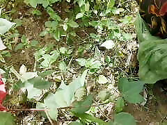 Bhabhi ki mast chudai in kapas ke khet me , Jungal me Indian hard cray sex bhabhi