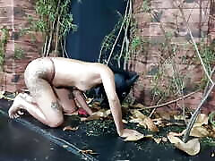 Pony Play - My Four Legged Slave