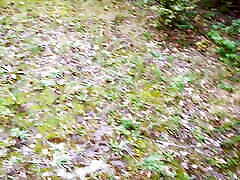 Hard tit slapping on the ladder in the woods