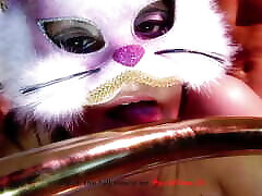 chatons excités