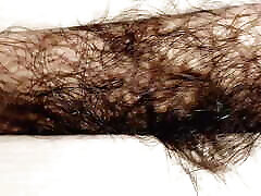 Sexy latina hairy pussy, big ass. Hairy wife big ass, hairy pussy, big nipples. Amateur hollywood movie sex videos seen pussy, big ass, big tits.