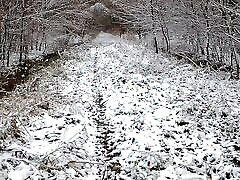 Jacket off in the winter forest and tits red