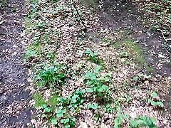 Spanking her big tits in the woods