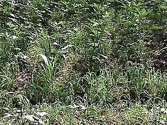 telugu tante bowlojab macht har landwirtschaft besitzer anushka shetty full xxx video auf dem bauernhof
