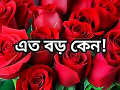 bangla choto golpo piękne dojrzałe sari chachi oszustwo hasband pełna historia w bangla audio