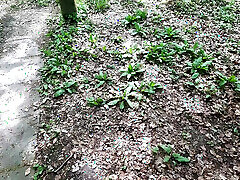 brüste schlagen und schamlippen beim picknick auspeitschen