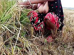 pee of the village in outdoor field of paddy cutting nomita boud