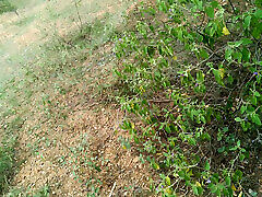 Tamil married women outdoor part 1