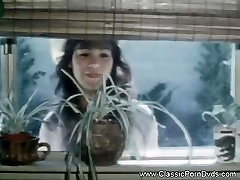 Classic asamis xx videos Fun From the Seventies