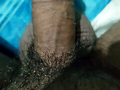 The ndn lesbian Solo Fun! Watch My Hamster&039;s Favorite Free Time Activities