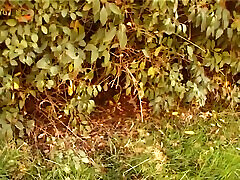 pick up, Doreen 18 convinced for a casting