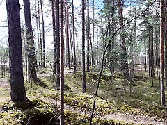 Teen Experiences Her First boydies public Sex in the Car