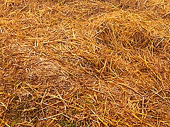 Indian beautiful my wife hot wedding day girl hot sex mexican anal digboi bhabi porn alexis fords massage XX indian busty garl hot sexy kidnap pakistani sexx