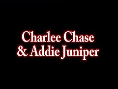 Charlee Chase Strokes and Gets Jizz on Her Bi