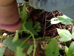 Stinging Nettles 1