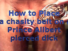 How tp place an Chasity daini danals on a PA pierced dick