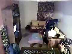 Camara de seguridad de una zorra