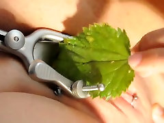 Stinging nettle, Brennnessel