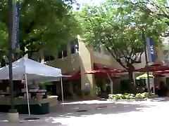 New To Miami