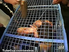 GggSexBox Video: Sex Box 11