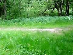 spontan im Wald