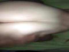 Pawgs can take it well