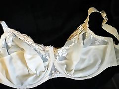 cuming on my wife&039;s veronica avluv long video bra