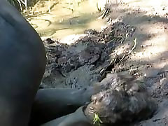 Orca Speedsuit in bog hard punishment for mistake 1