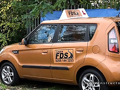 Newbie Ebenholz Pony in der ersten driving-Klasse