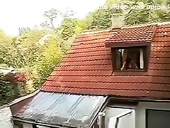 Sex in the window