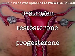 Niesamowite Amatorskie filmy z lynette porno sceny