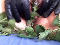 Making love with nettles