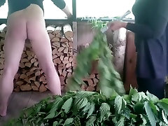 Dominatrix spanking slave with milf love huge cock Part 1 Dominatrixi.