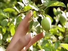 Taste my fruit