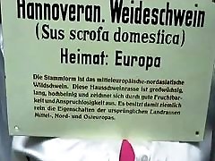 meister - t - frau weideschwein