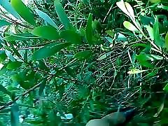 tuga lena masturbation dans les bois